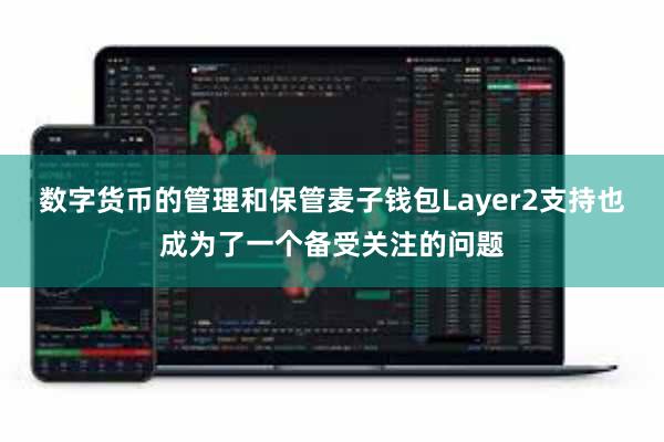 数字货币的管理和保管麦子钱包Layer2支持也成为了一个备受关注的问题