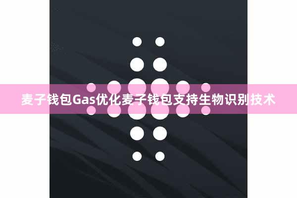 麦子钱包Gas优化麦子钱包支持生物识别技术