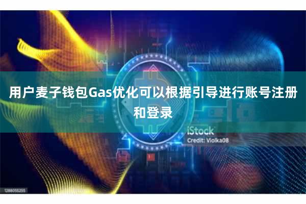 用户麦子钱包Gas优化可以根据引导进行账号注册和登录