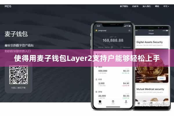 使得用麦子钱包Layer2支持户能够轻松上手