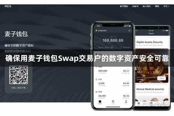 确保用麦子钱包Swap交易户的数字资产安全可靠