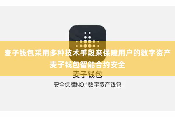 麦子钱包采用多种技术手段来保障用户的数字资产麦子钱包智能合约安全