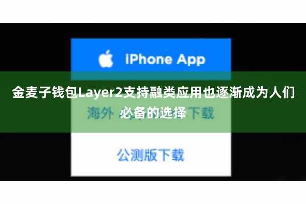 金麦子钱包Layer2支持融类应用也逐渐成为人们必备的选择