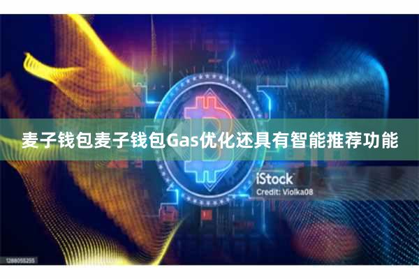 麦子钱包麦子钱包Gas优化还具有智能推荐功能
