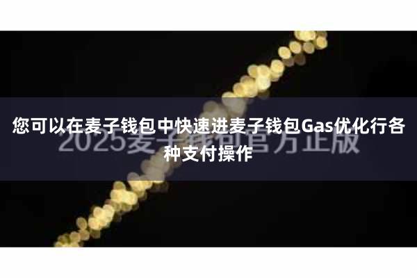 您可以在麦子钱包中快速进麦子钱包Gas优化行各种支付操作