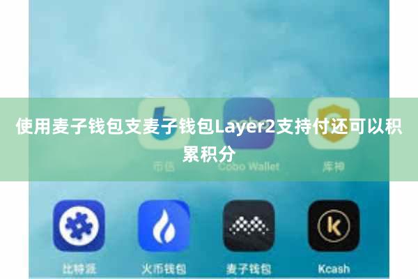 使用麦子钱包支麦子钱包Layer2支持付还可以积累积分