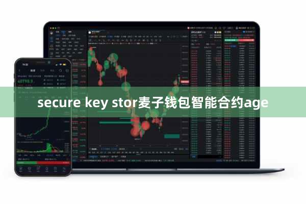 secure key stor麦子钱包智能合约age