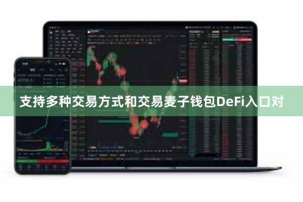 支持多种交易方式和交易麦子钱包DeFi入口对