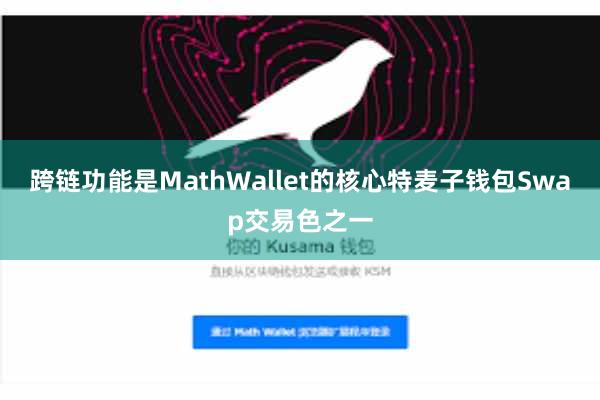 跨链功能是MathWallet的核心特麦子钱包Swap交易色之一