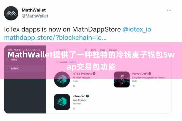 MathWallet提供了一种独特的冷钱麦子钱包Swap交易包功能