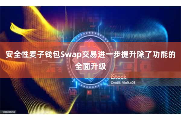 安全性麦子钱包Swap交易进一步提升除了功能的全面升级