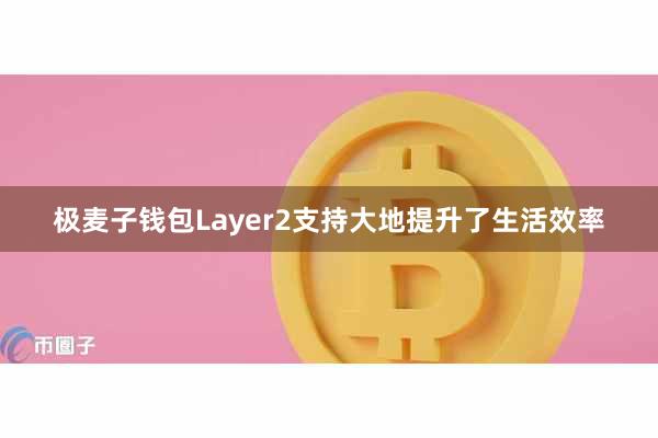 极麦子钱包Layer2支持大地提升了生活效率