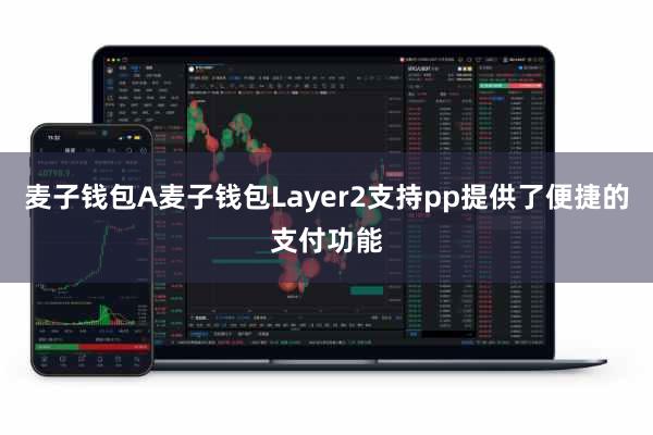 麦子钱包A麦子钱包Layer2支持pp提供了便捷的支付功能
