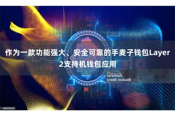 作为一款功能强大、安全可靠的手麦子钱包Layer2支持机钱包应用