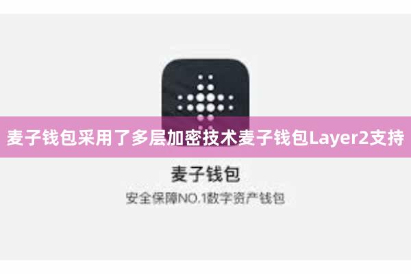 麦子钱包采用了多层加密技术麦子钱包Layer2支持