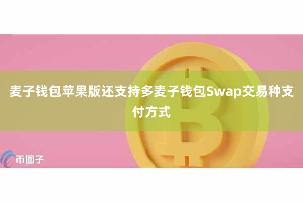 麦子钱包苹果版还支持多麦子钱包Swap交易种支付方式