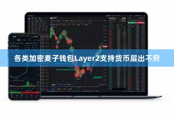 各类加密麦子钱包Layer2支持货币层出不穷