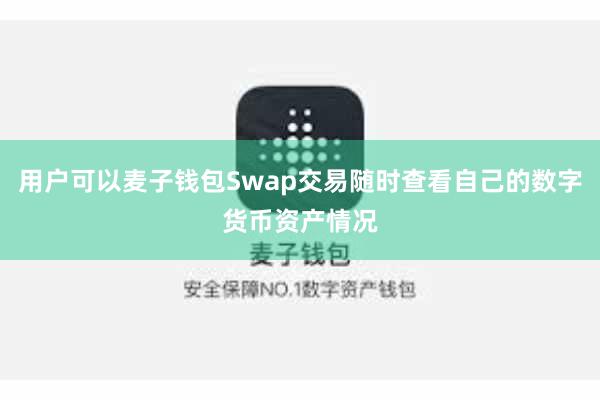 用户可以麦子钱包Swap交易随时查看自己的数字货币资产情况
