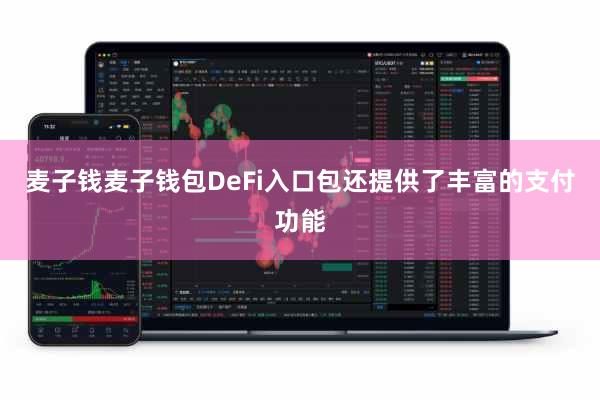 麦子钱麦子钱包DeFi入口包还提供了丰富的支付功能