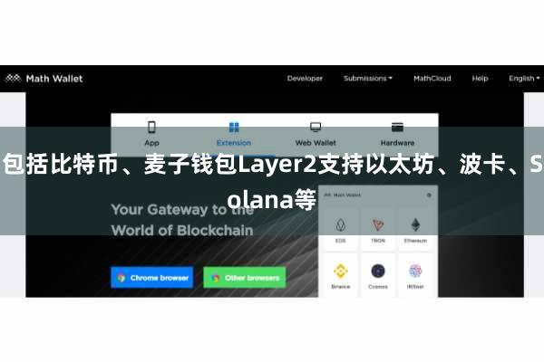 包括比特币、麦子钱包Layer2支持以太坊、波卡、Solana等